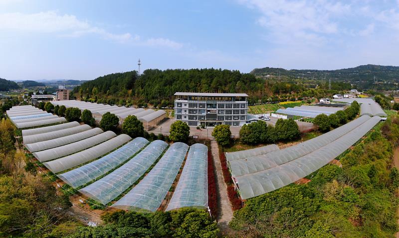 支持小微企业财政金融政策