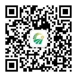 三农贷款直通车